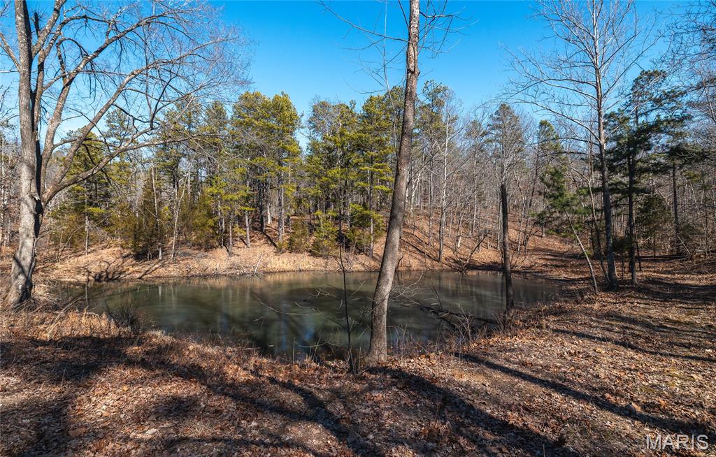 37805 State Highway Hh Property Photo 27