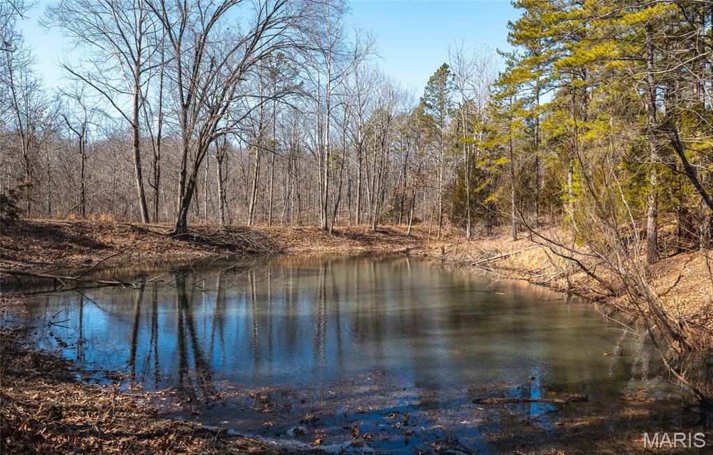 37805 State Highway Hh Property Photo 28