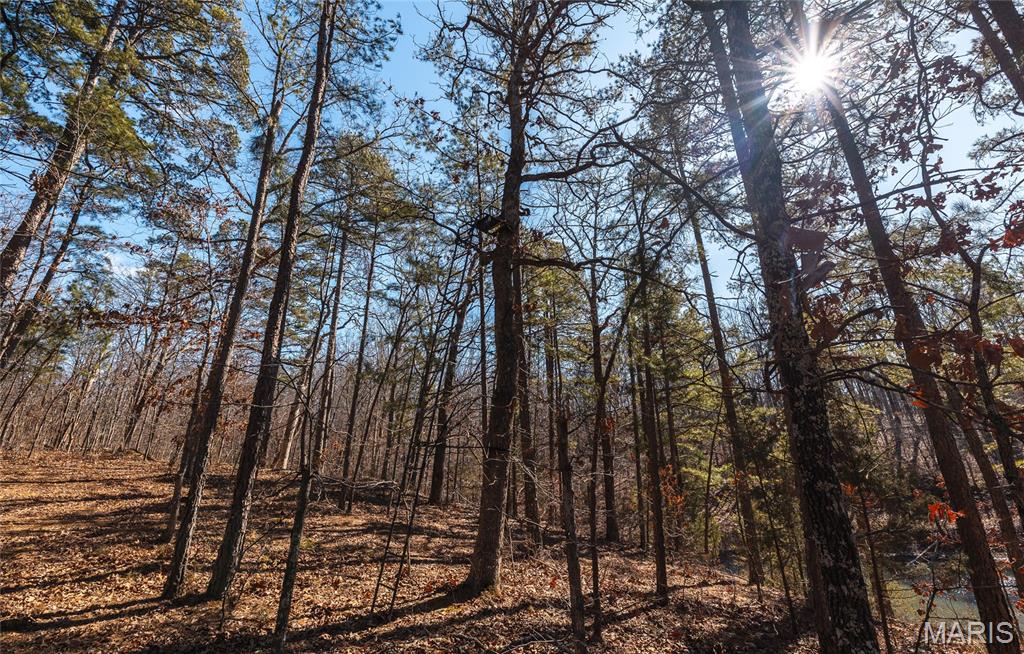 37805 State Highway Hh Property Photo 29