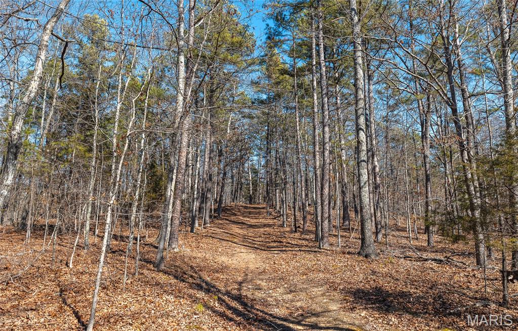 37805 State Highway Hh Property Photo 30