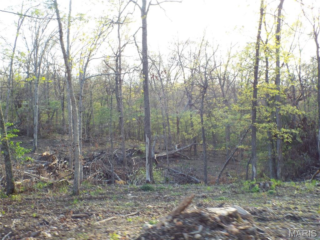 968 E Shivers Road Property Photo 8