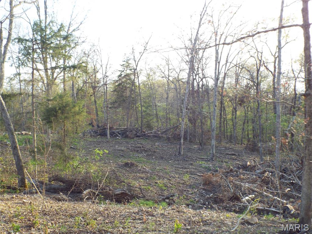 968 E Shivers Road Property Photo 9