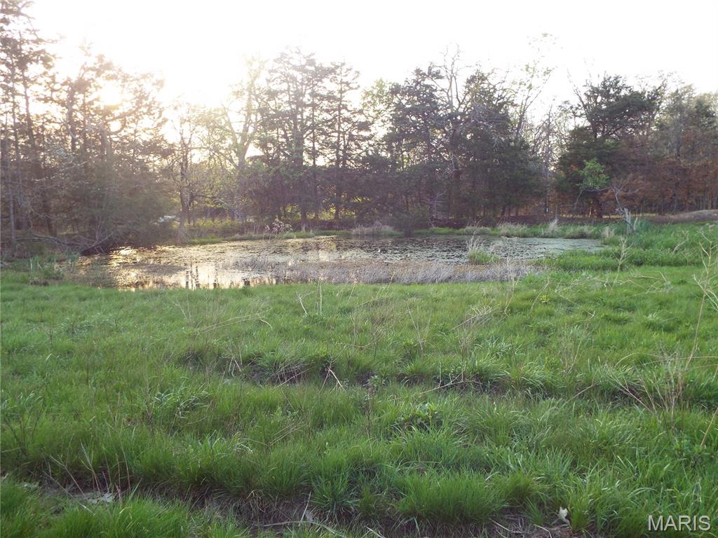 968 E Shivers Road Property Photo 22