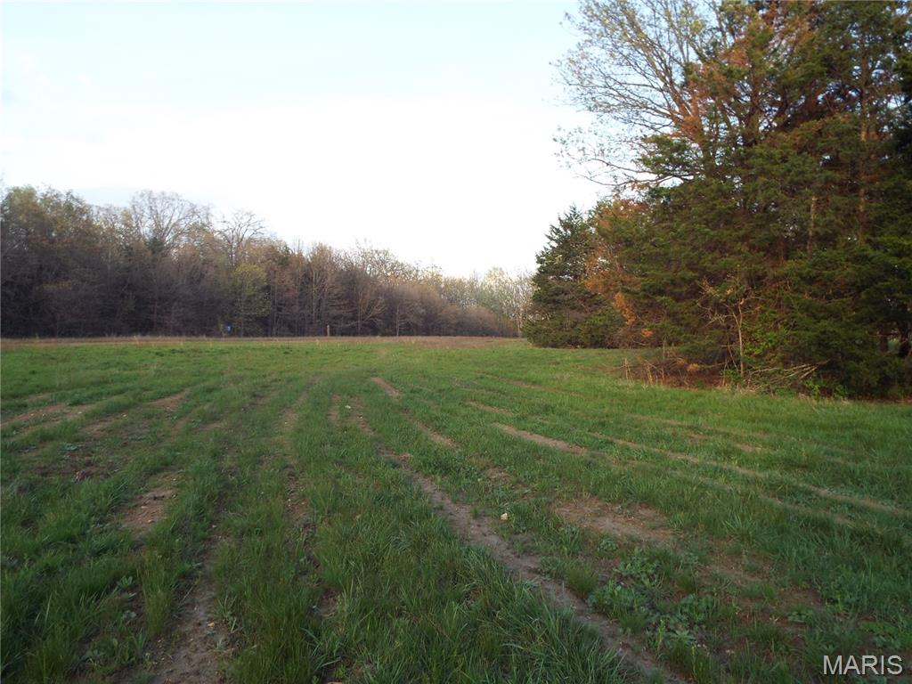 968 E Shivers Road Property Photo 24