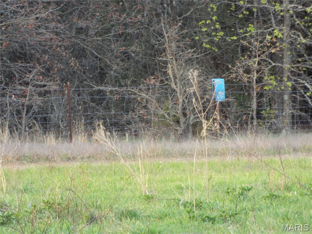 968 E Shivers Road Property Photo 26