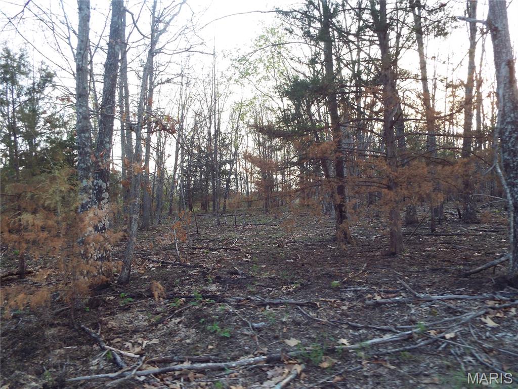 968 E Shivers Road Property Photo 30