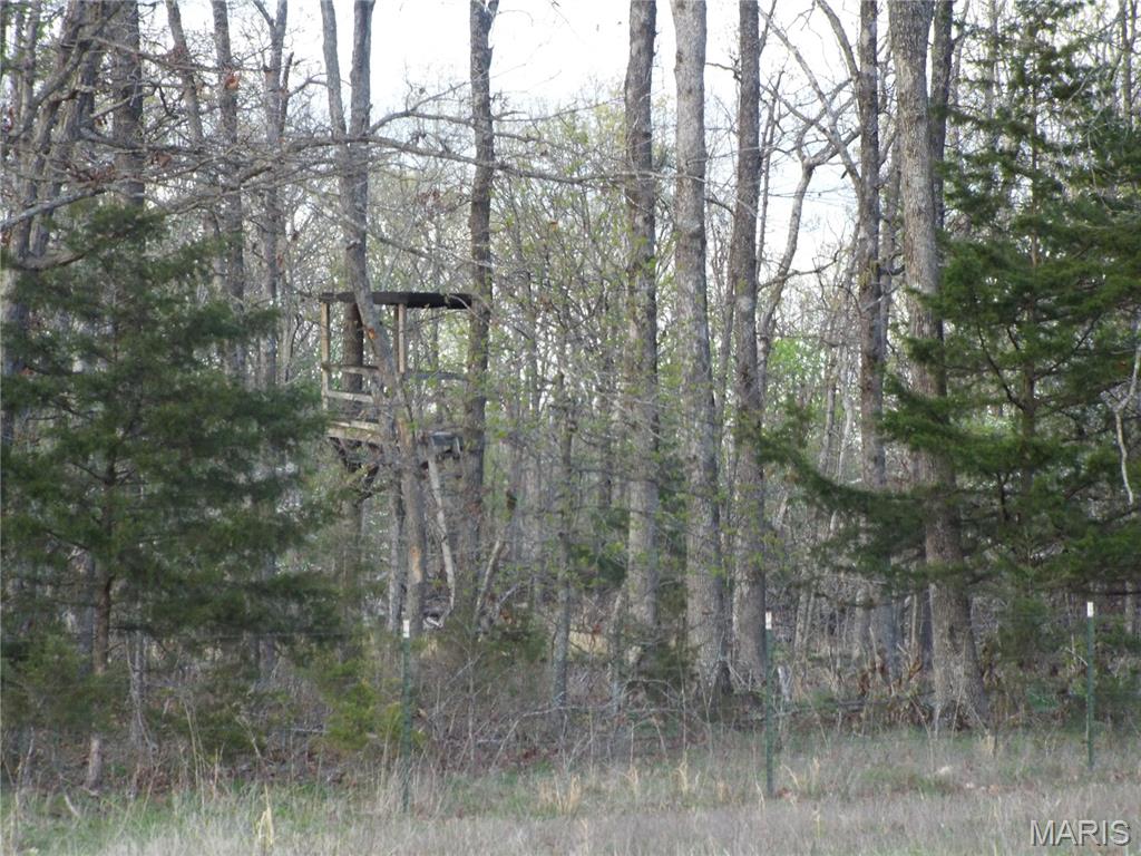 968 E Shivers Road Property Photo 44