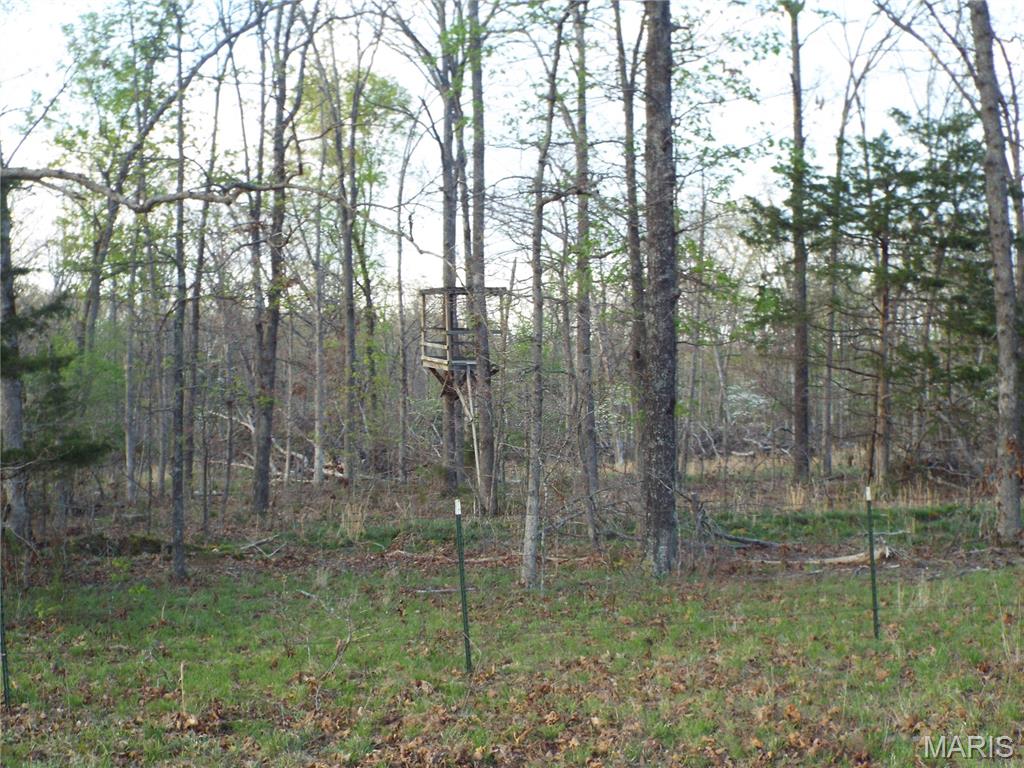 968 E Shivers Road Property Photo 45