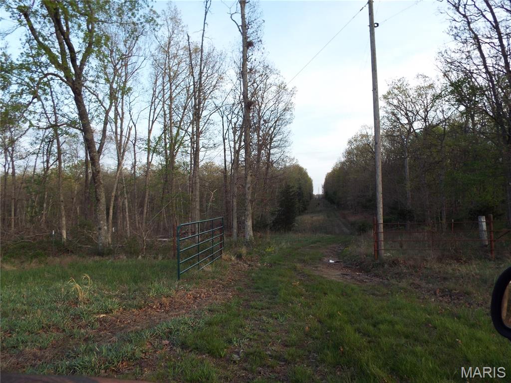 968 E Shivers Road Property Photo 46