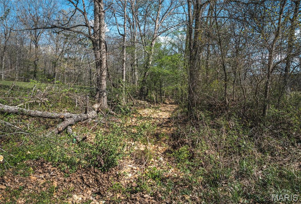 000 Whiteacre Run Property Photo 10