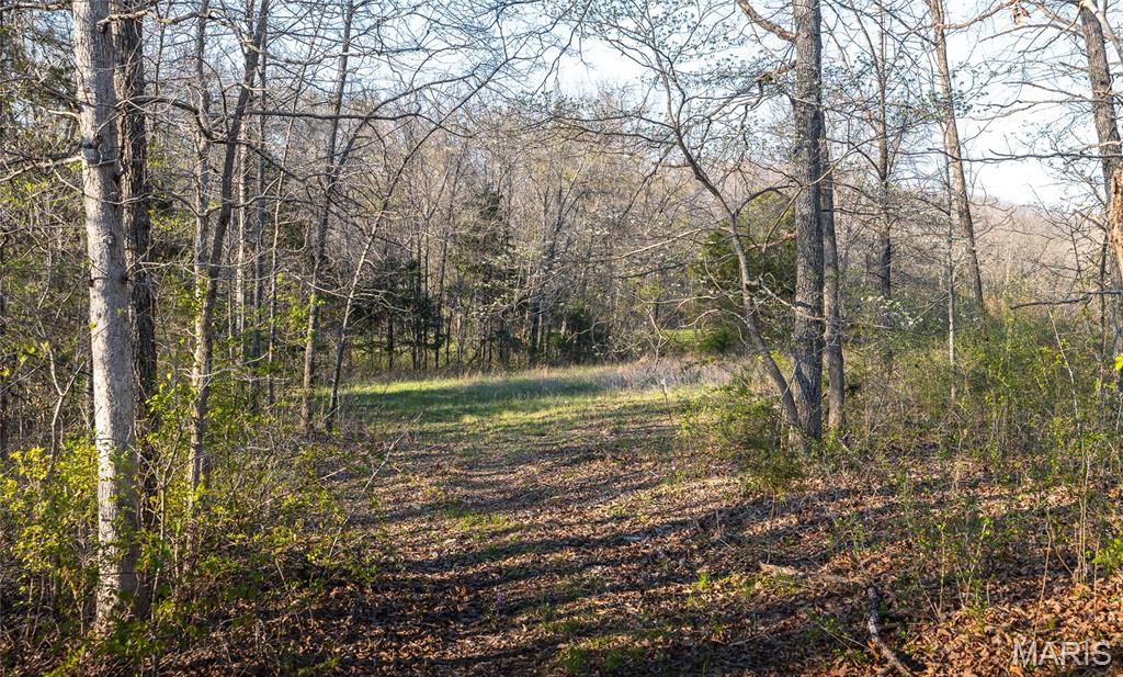 000 Whiteacre Run Property Photo 15