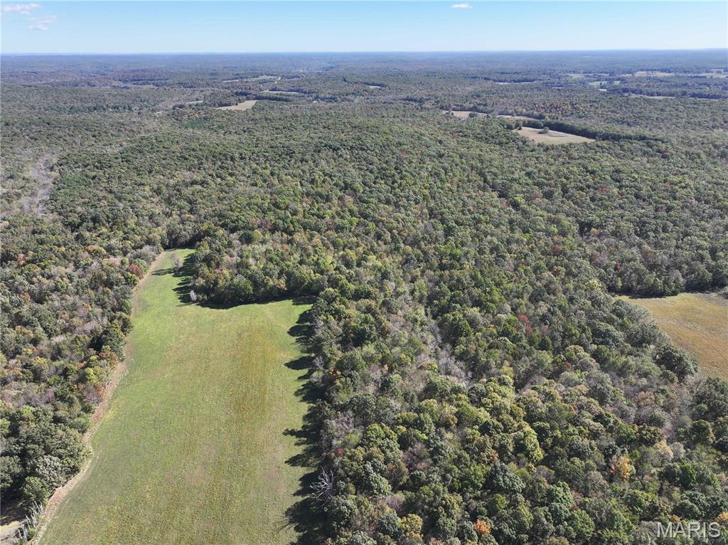 Tract 3 State Hwy Dd Property Photo 3