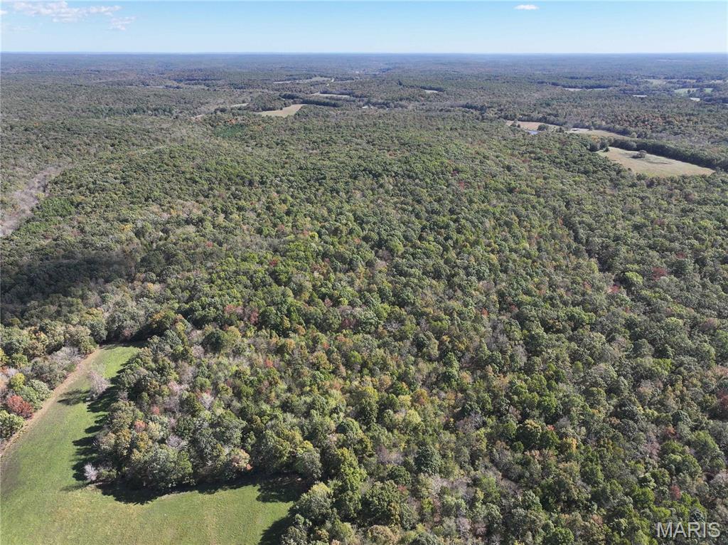 Tract 3 State Hwy Dd Property Photo 4