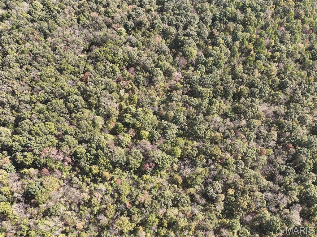 Tract 3 State Hwy Dd Property Photo 5