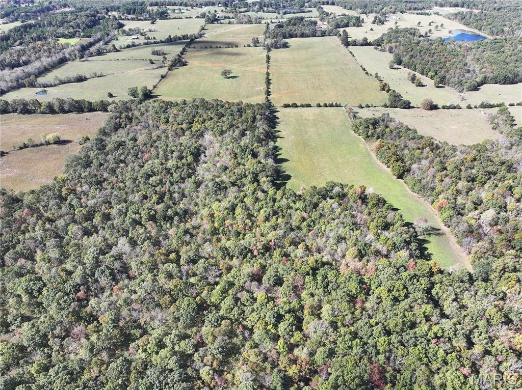 Tract 3 State Hwy Dd Property Photo 8