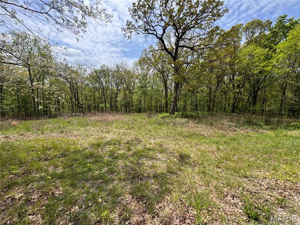 195 Stoney Point Drive Property Photo 1