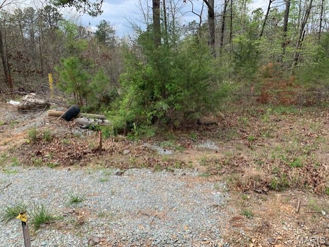 0 County Rd 229 Property Photo 2