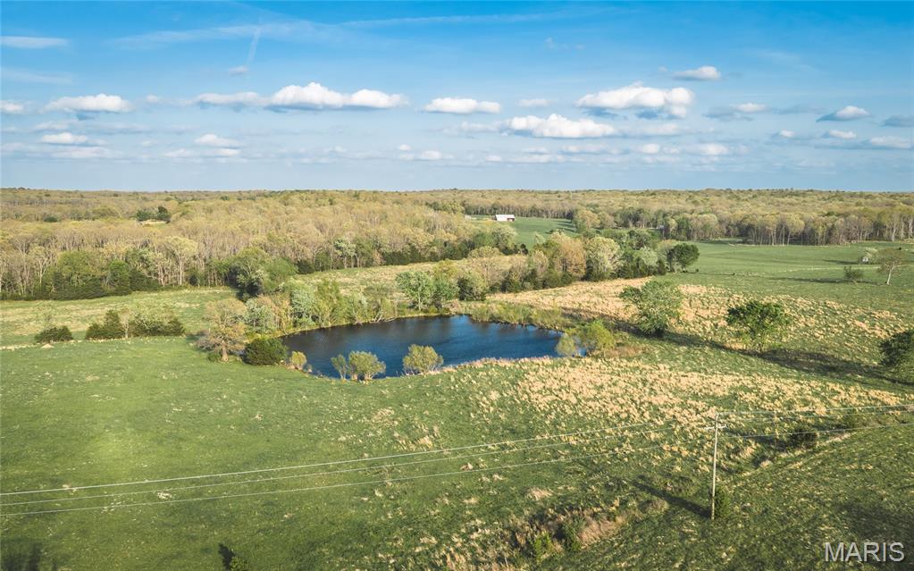 17665 Highway 19 Property Photo 8