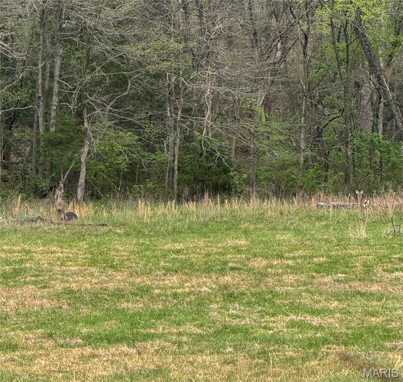 17665 Highway 19 Property Photo 15