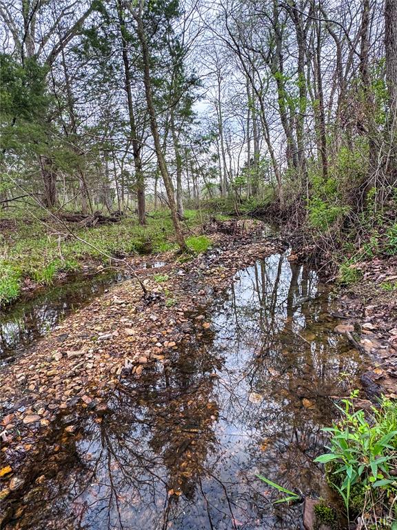 17665 Highway 19 Property Photo 17