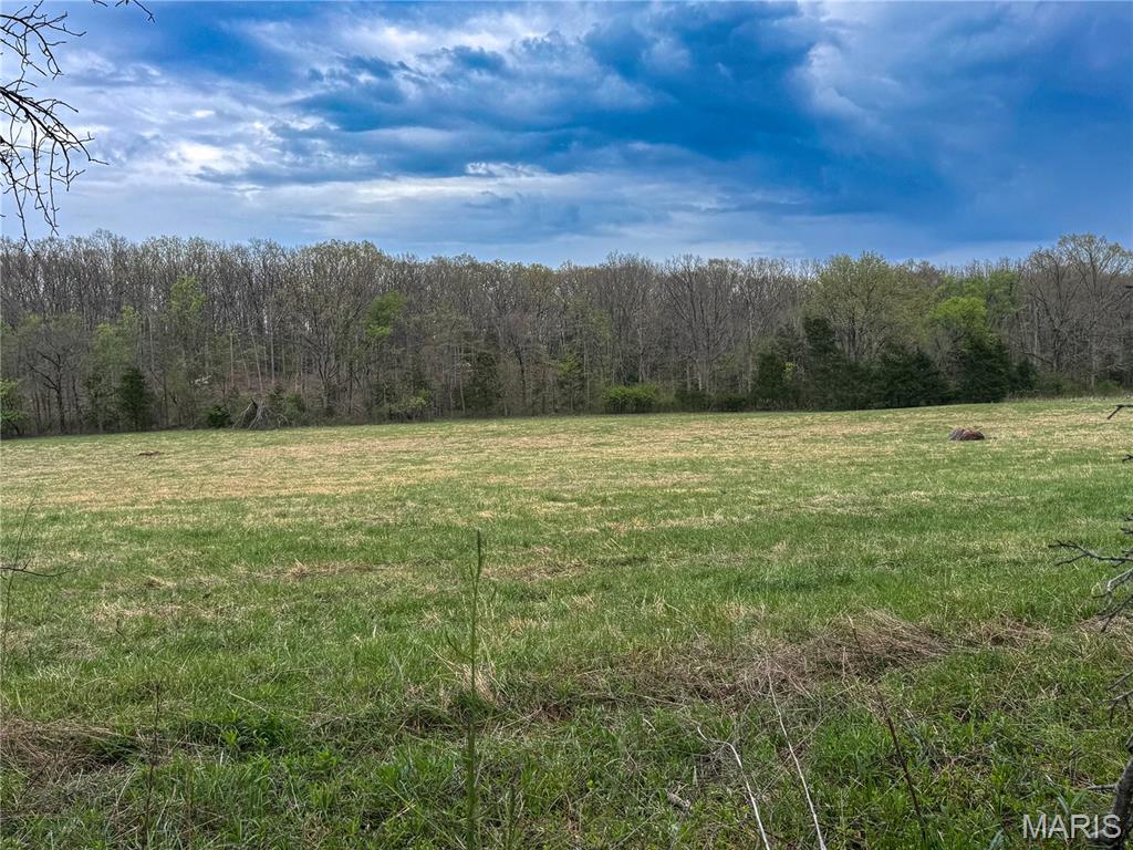 17665 Highway 19 Property Photo 18