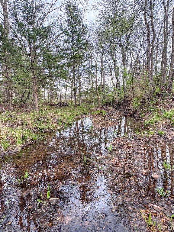 17665 Highway 19 Property Photo 21