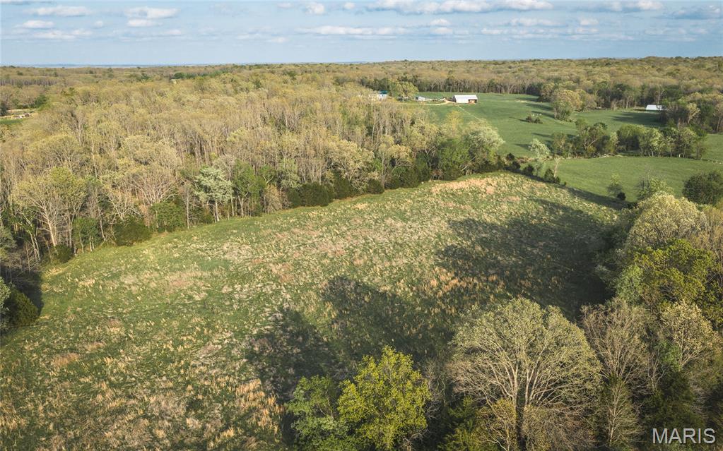 17665 Highway 19 Property Photo 25