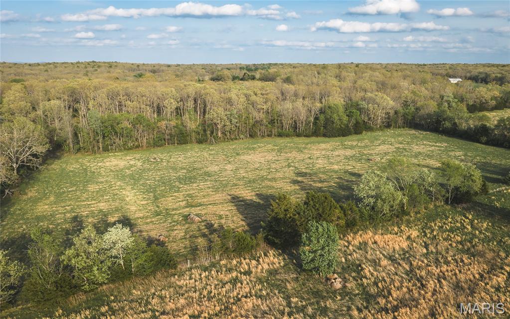 17665 Highway 19 Property Photo 31