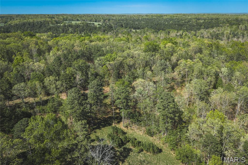 11090 Highway K Property Photo 47