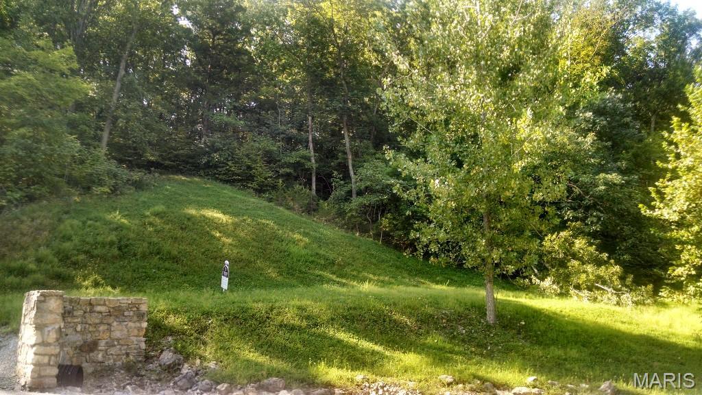 329 Berg Crossing Drive Property Photo 1