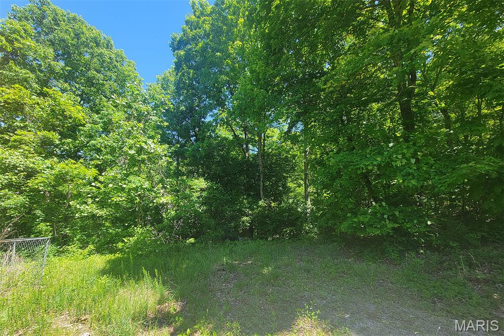 1870 Highway U Property Photo 6
