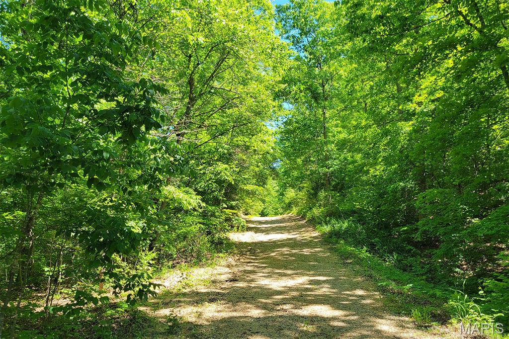 1870 Highway U Property Photo 11