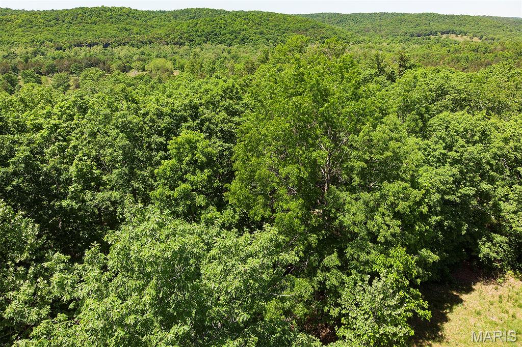 1870 Highway U Property Photo 14