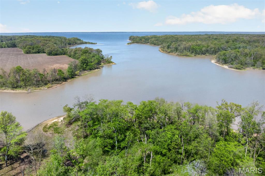 24101 Brink Road Property Photo 49