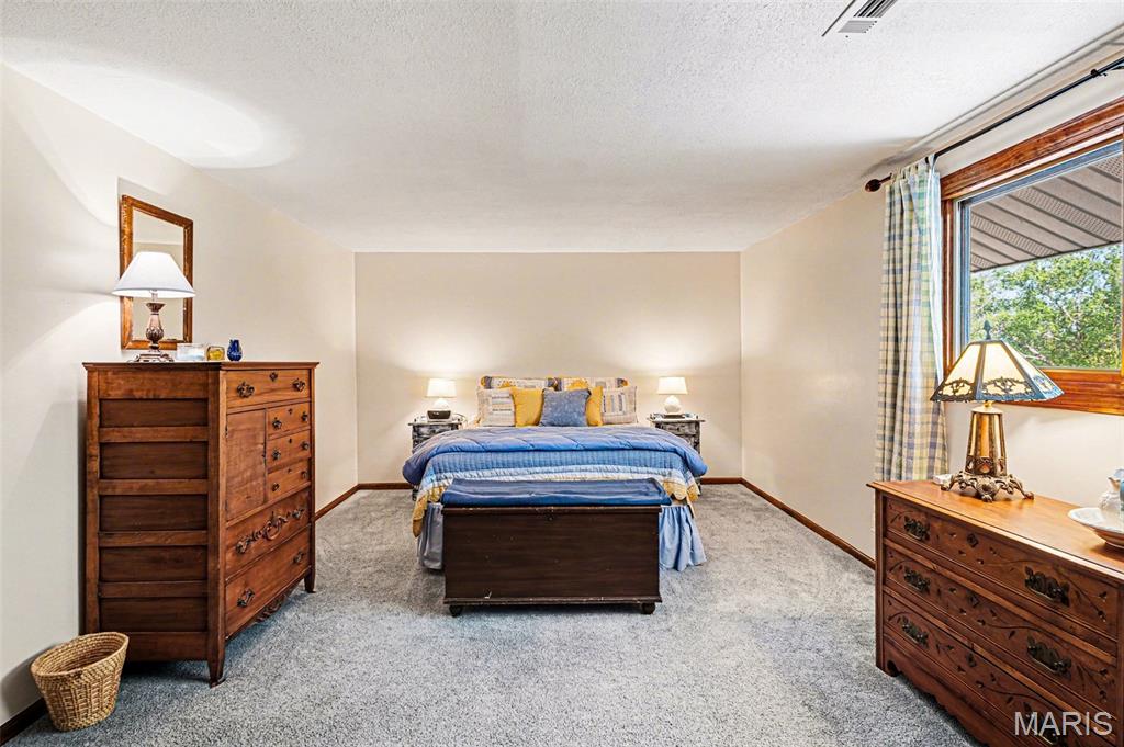 525 Highway Dd Property Photo 22