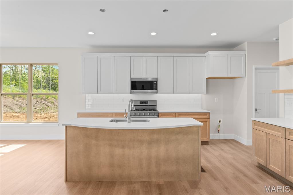 2947 Bluff Ridge Court Property Photo 15