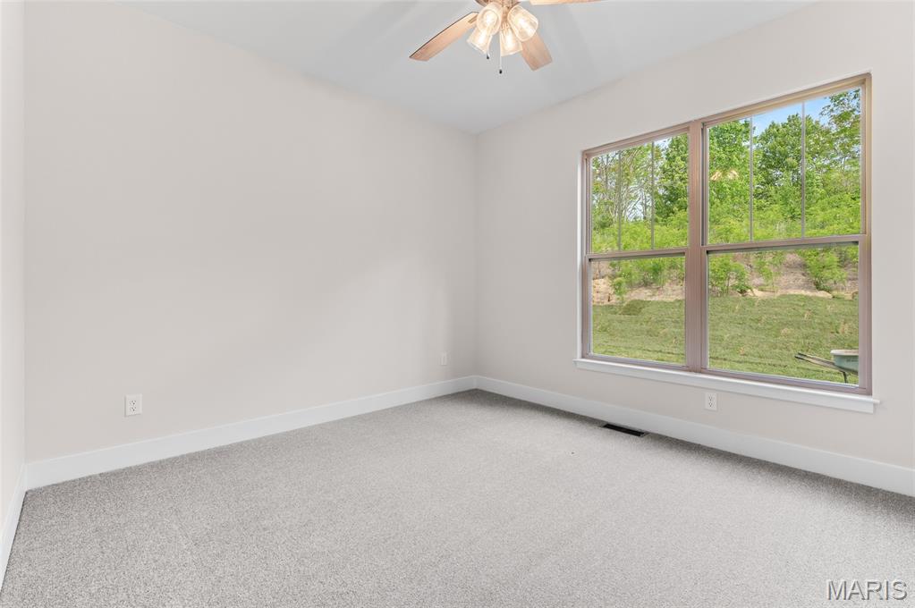 2947 Bluff Ridge Court Property Photo 35