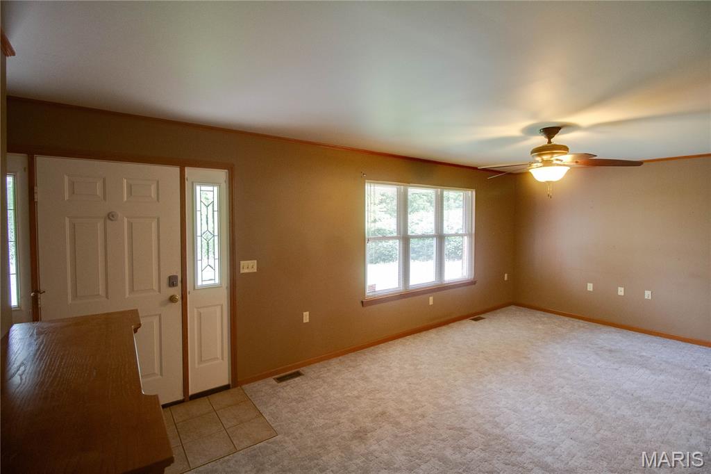 31822 Irish Lane Property Photo 14
