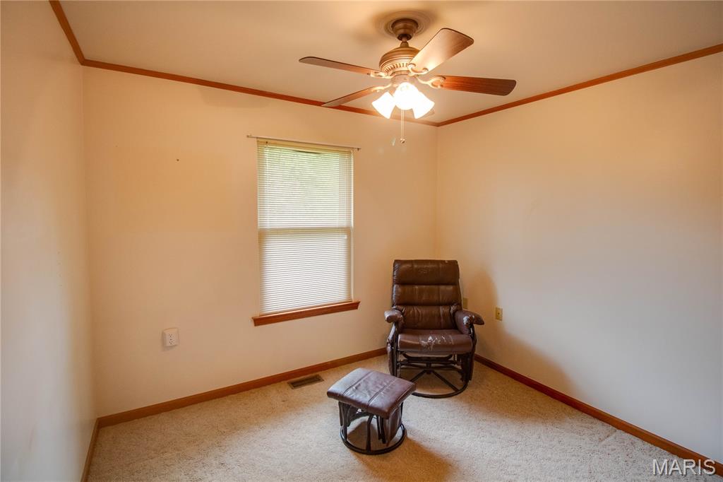 31822 Irish Lane Property Photo 37