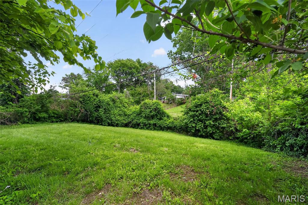 10836 Hallstead Drive Property Photo 22