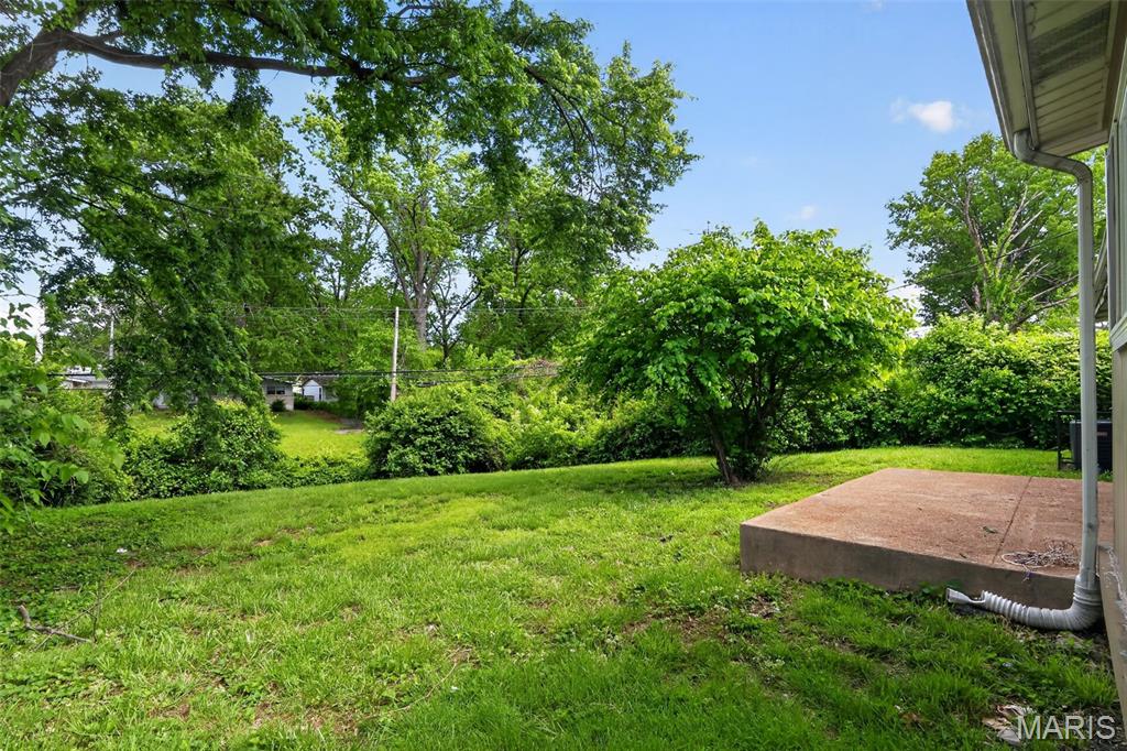 10836 Hallstead Drive Property Photo 23