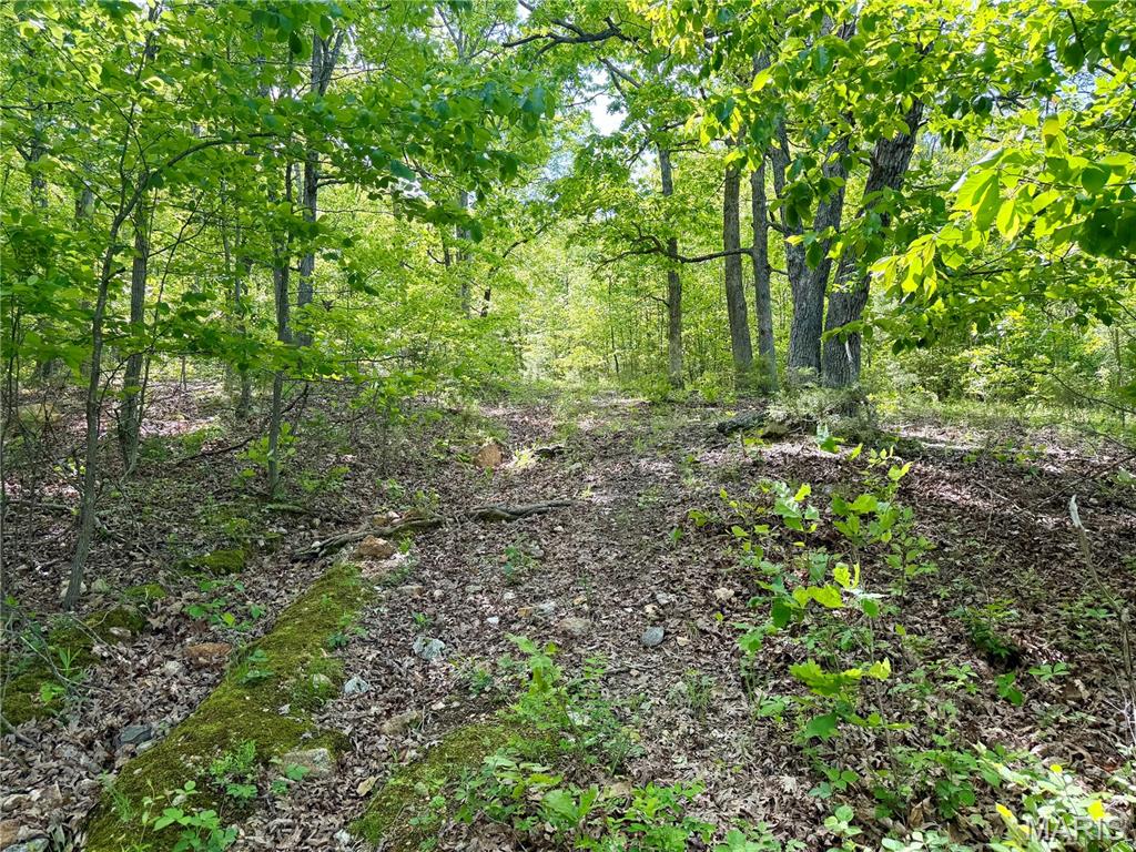 0 Pratt Road Property Photo 1