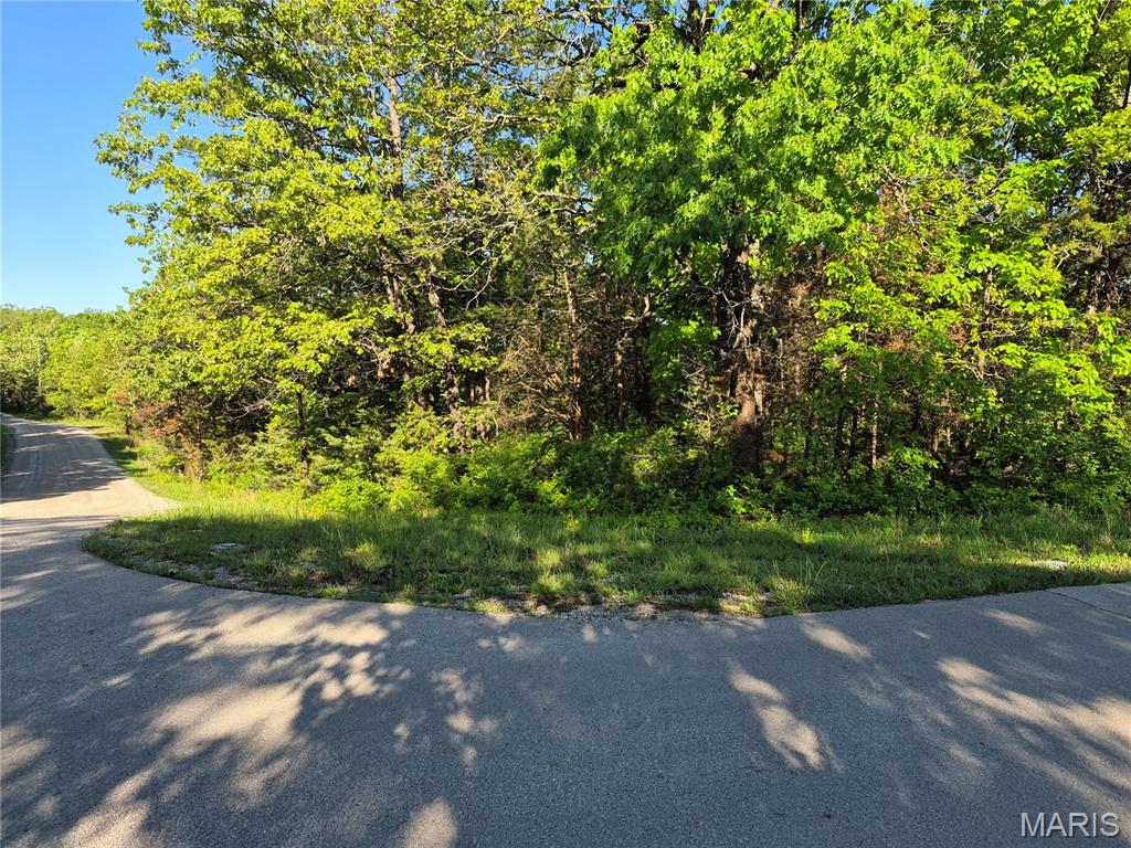 0 Rue Chambly Property Photo 1