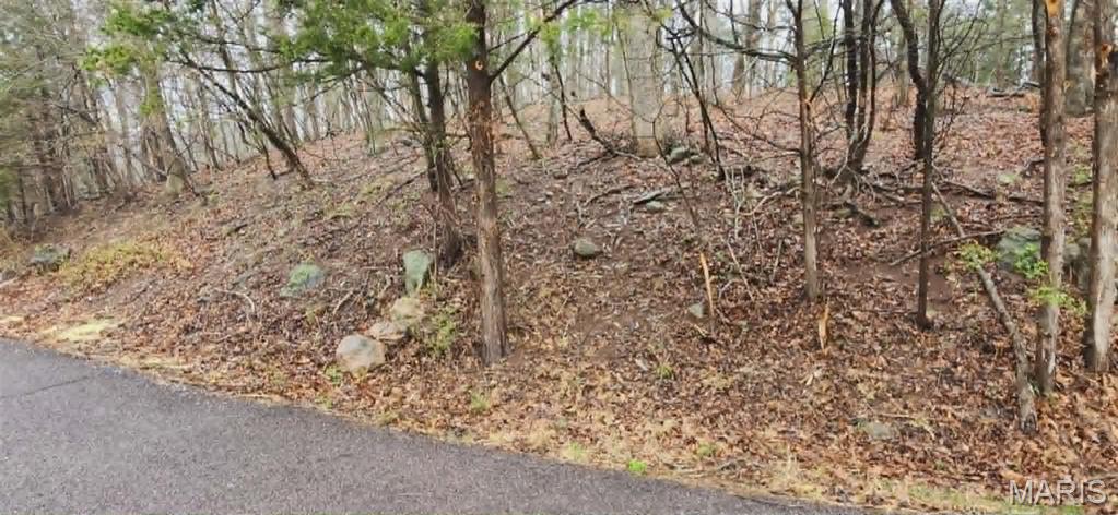 1020 Lancaster Way Property Photo 1