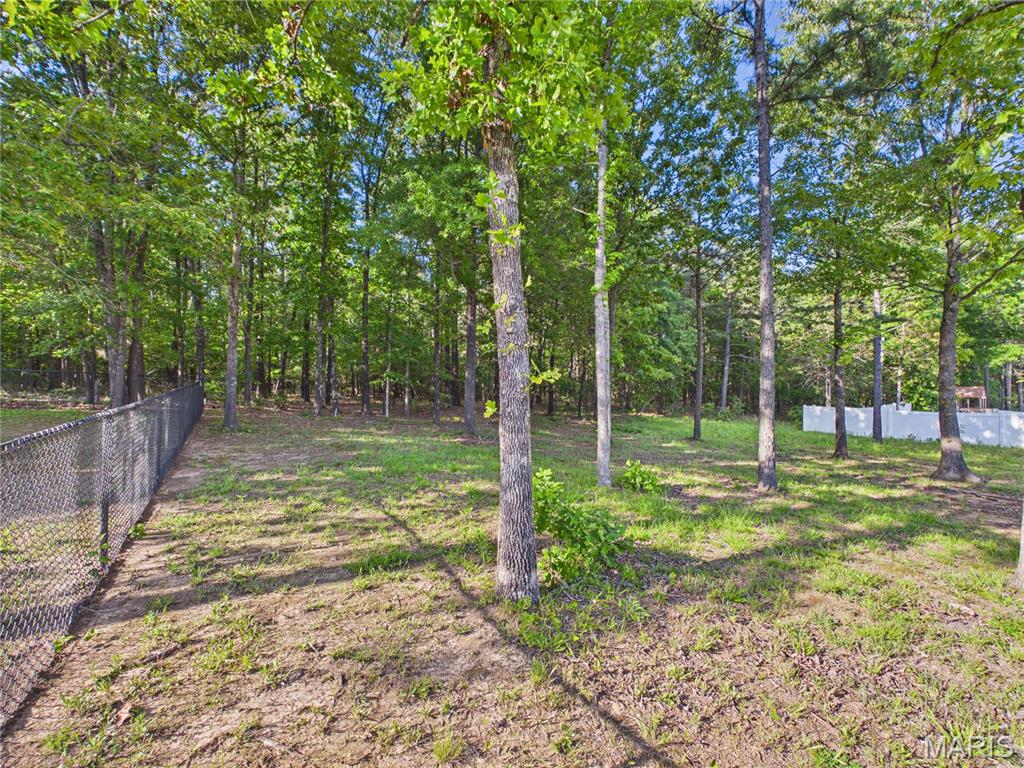 251 Ruth Harris Lane Property Photo 4