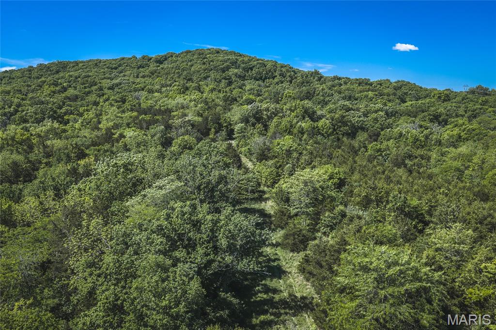 000 Highway M Property Photo 16