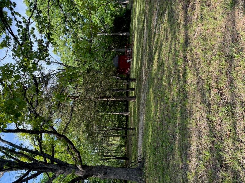 1227 Timberwood Lane Property Photo 4