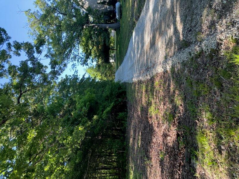 1227 Timberwood Lane Property Photo 6