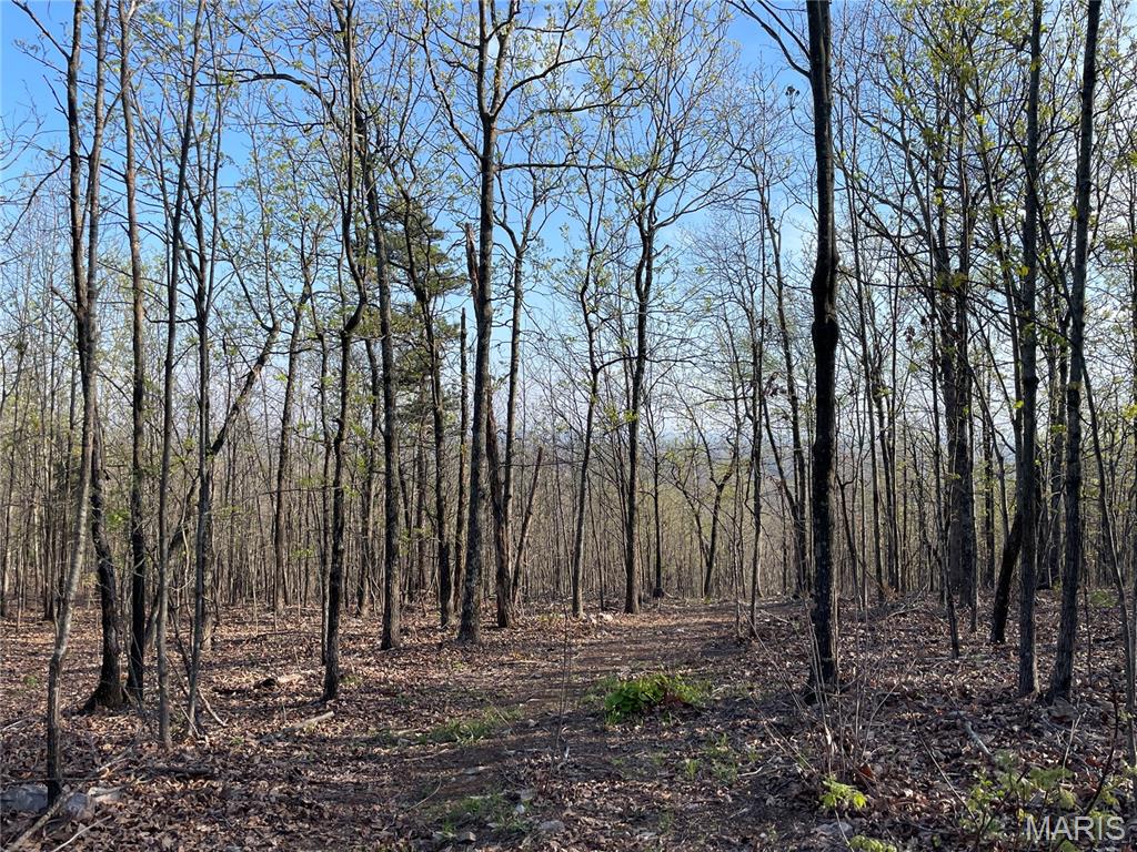 1190 Private Road 349a-5 Property Photo 12