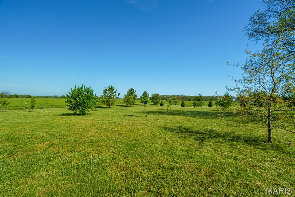 13033 Shafer Road Property Photo 52